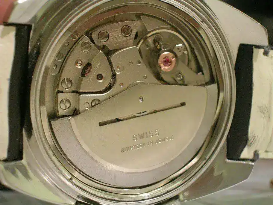 DSCN6769.webp