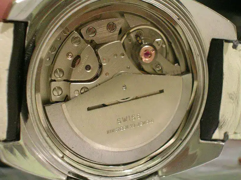 DSCN6769.webp