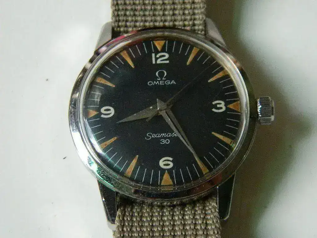 DSCN6955.webp