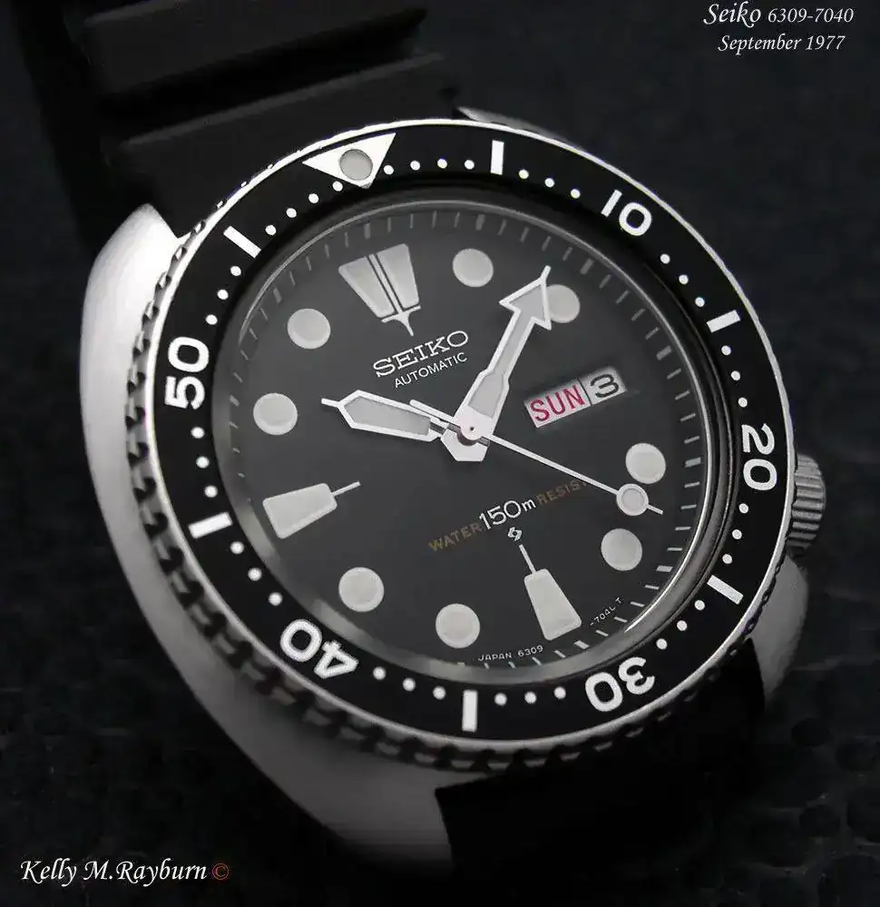 DSCN7130a.webp