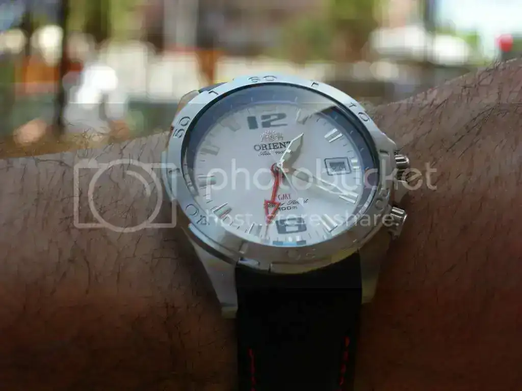 DSCN7941.webp
