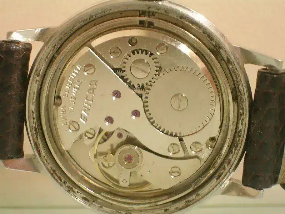DSCN7984.webp