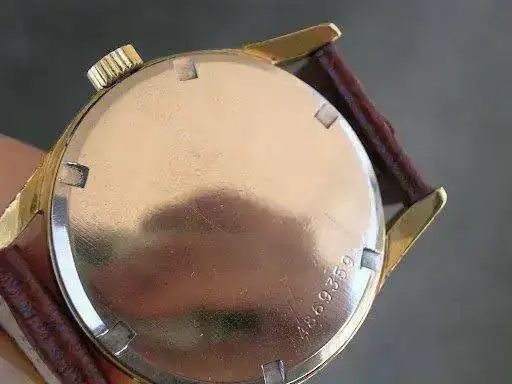 DSCN8039.webp