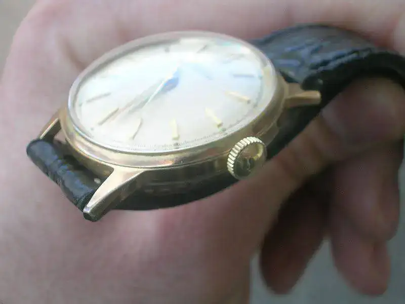 DSCN8532.webp