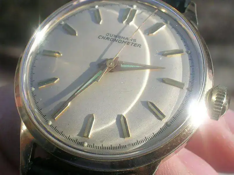 DSCN8539.webp