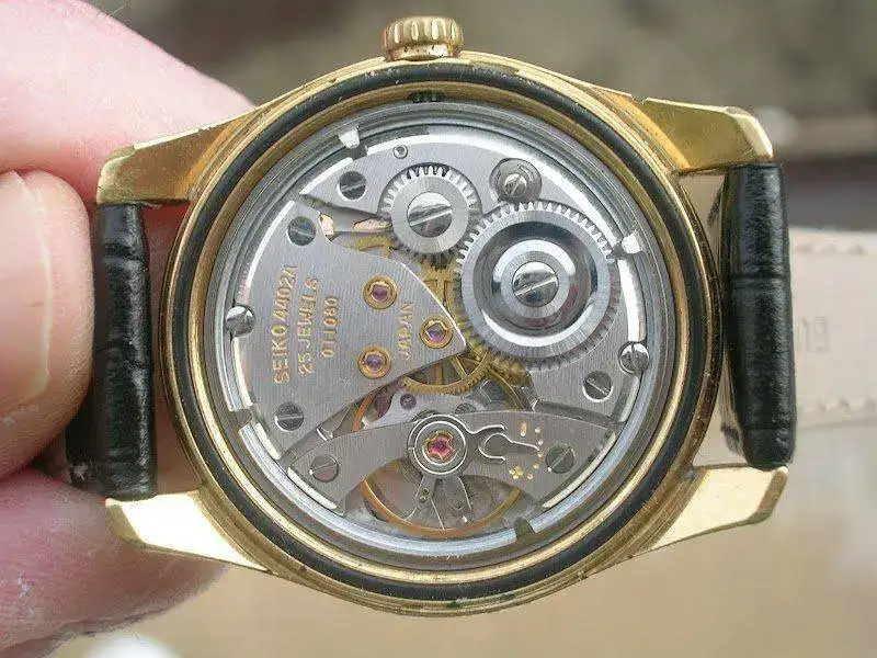 DSCN8723.webp