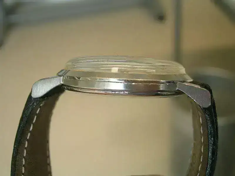 DSCN9156.webp