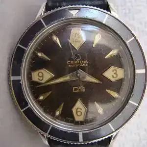 DS Diver