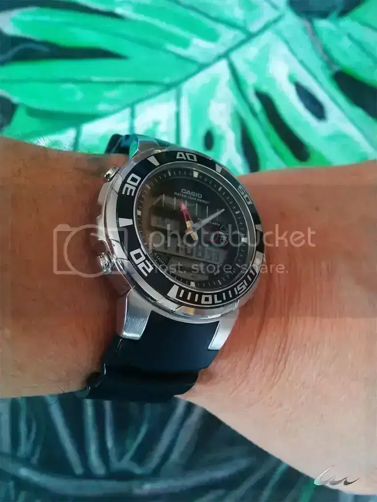 dsg_zps08fecb45.webp