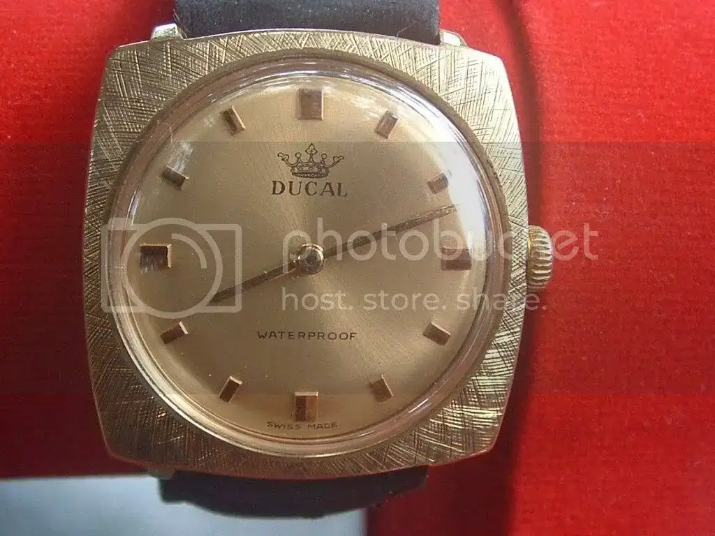 ducala.webp