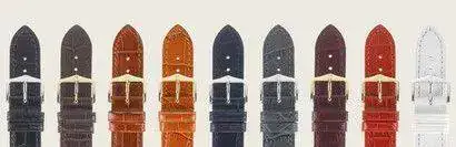dukecolores.webp
