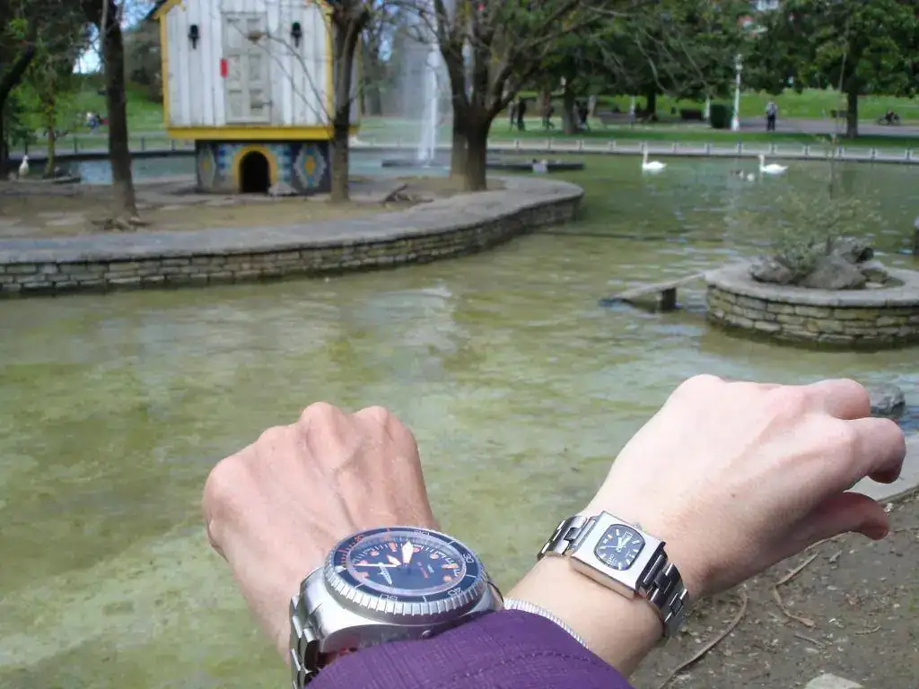 Duo en el parque.webp