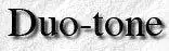 duo-tone.webp