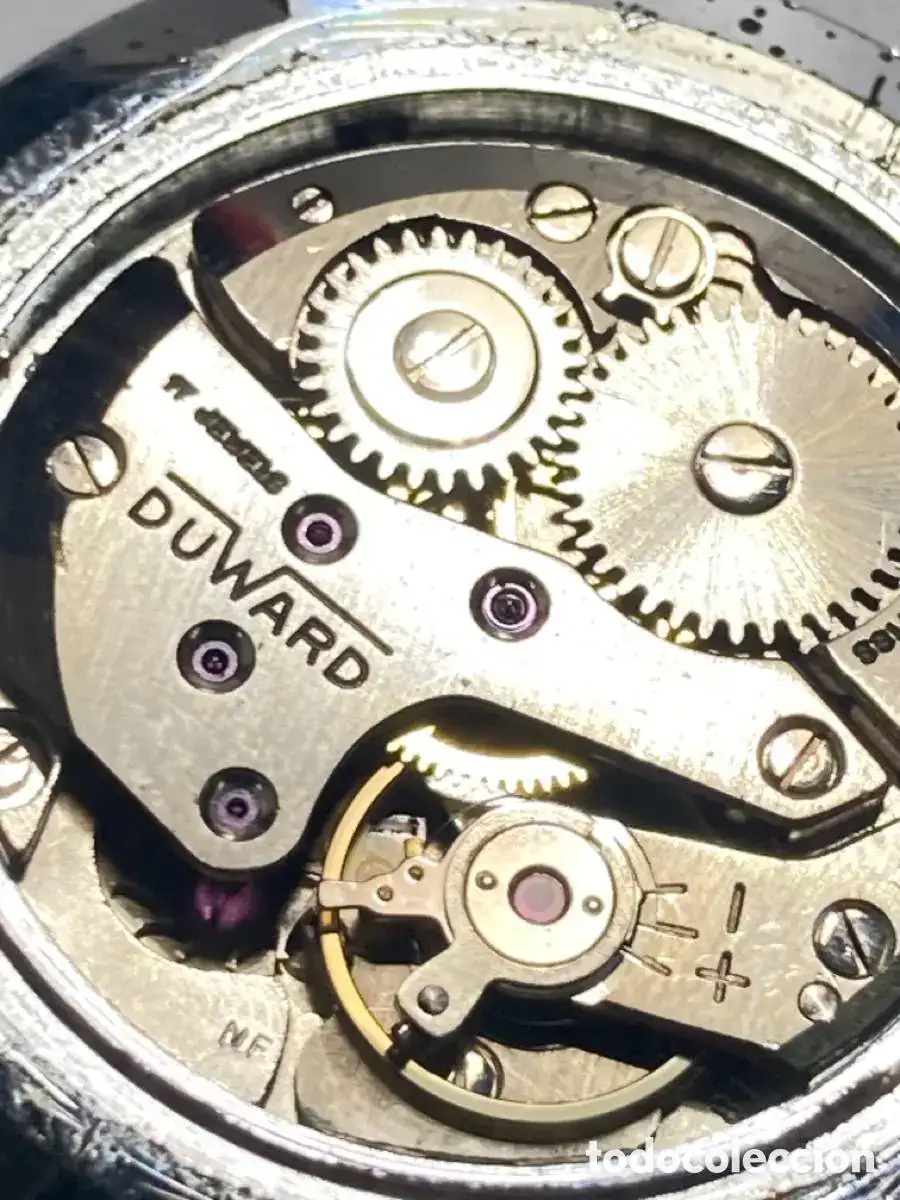 Duward nuevo 5.webp