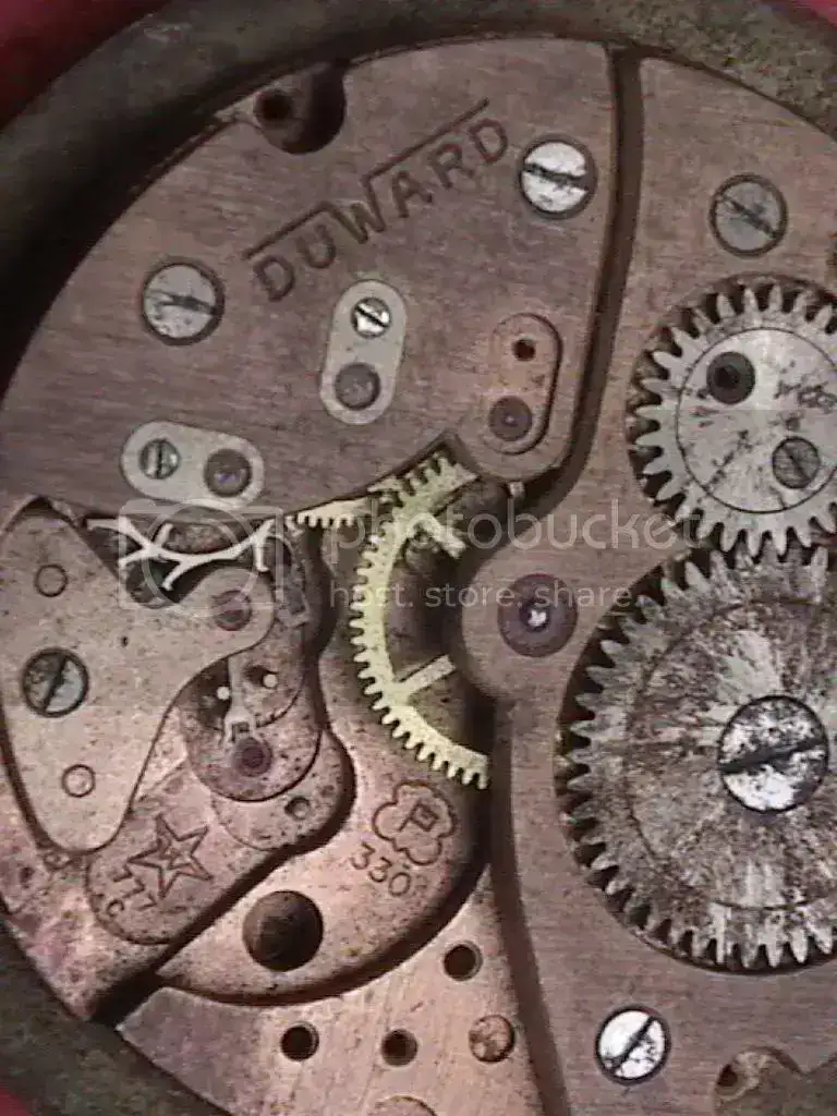 DVC00573.webp