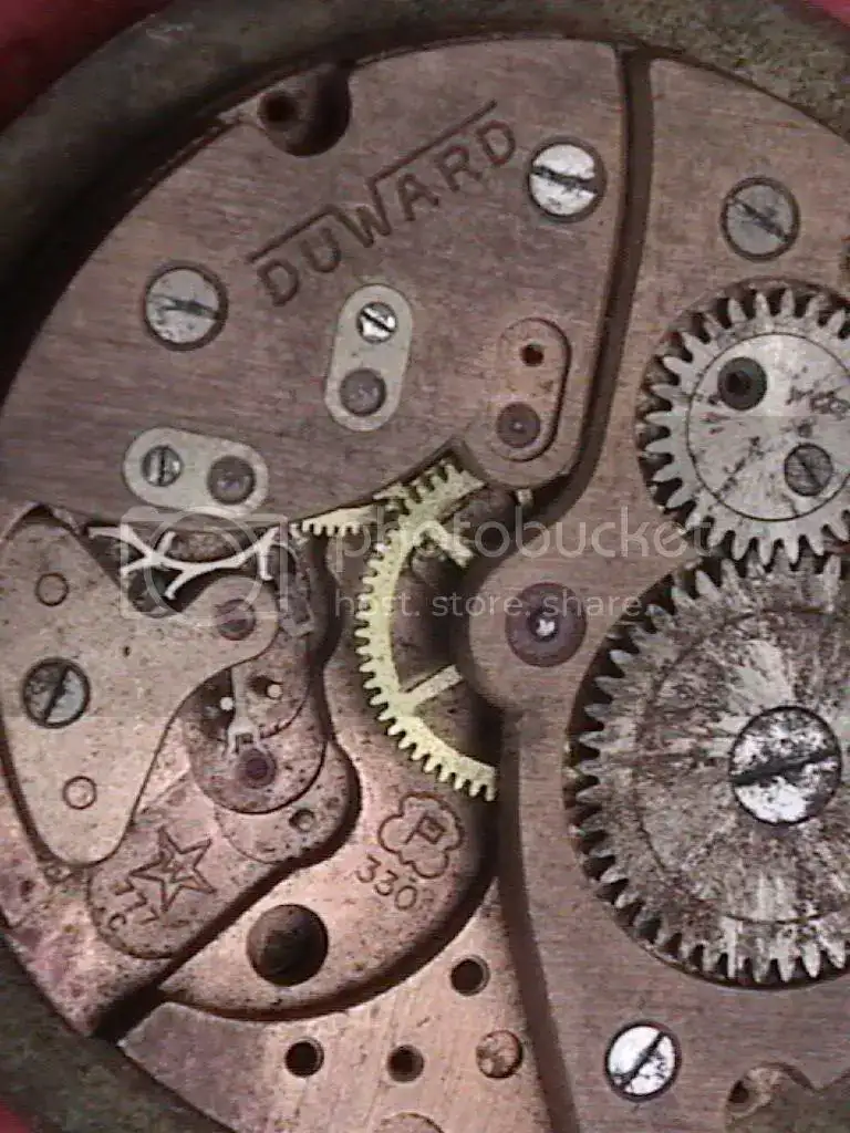 DVC00573.webp