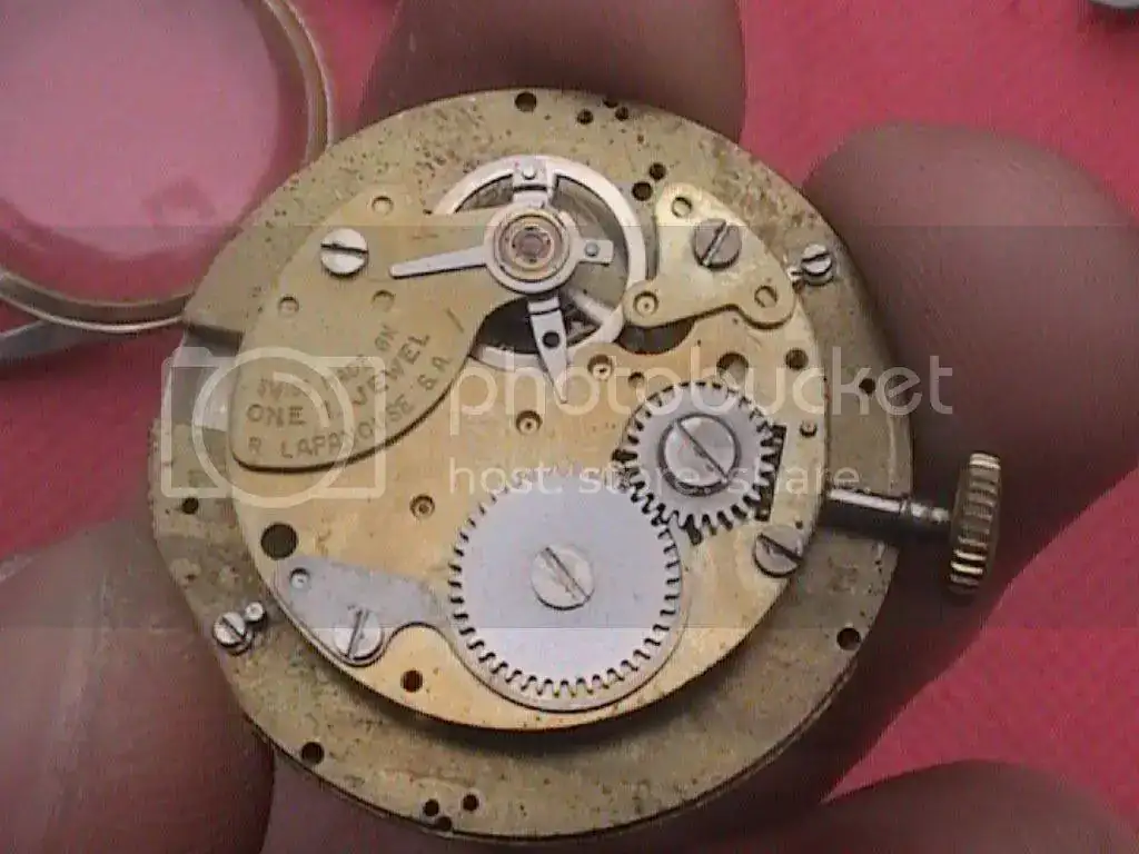 DVC02952.webp