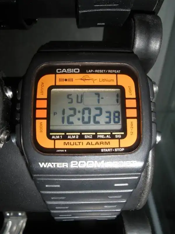 DW200Orange.webp