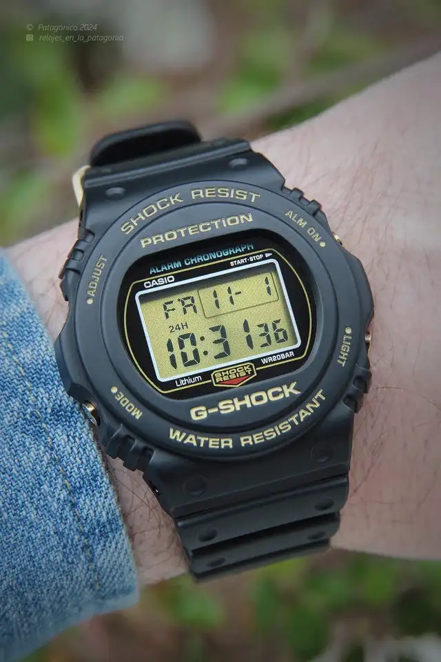 DW5735-D-1-B.webp