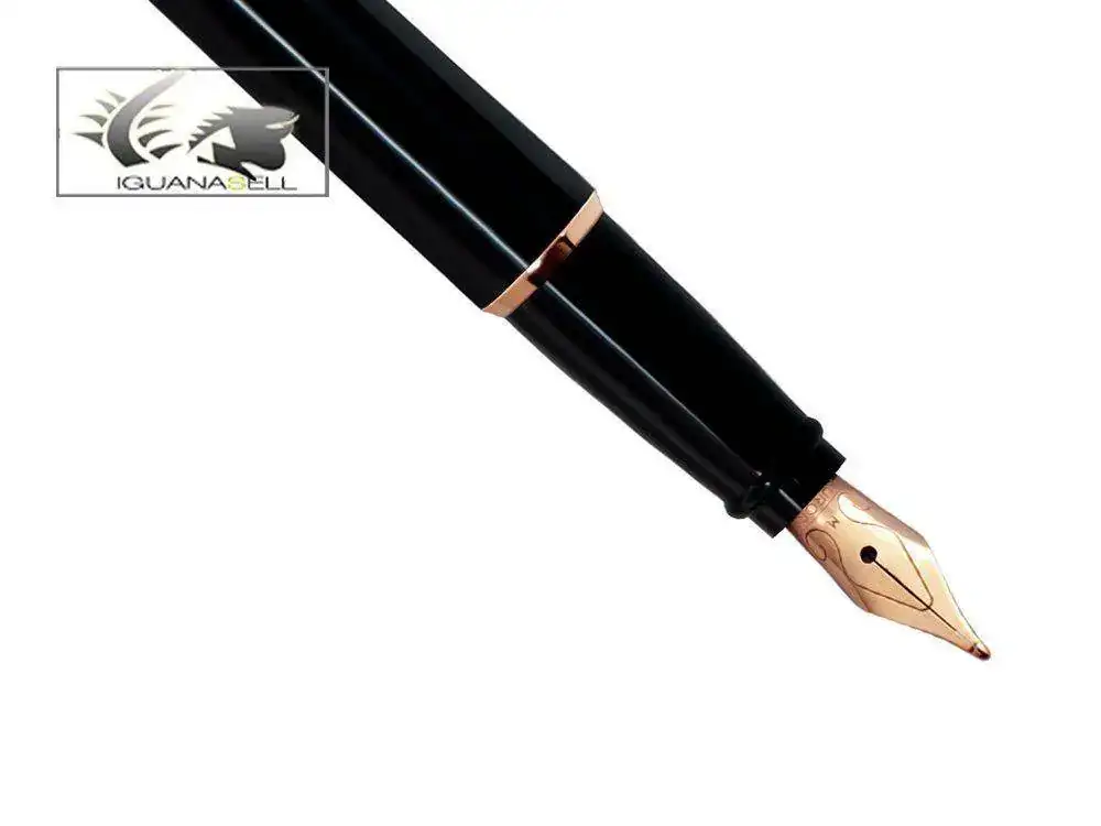 e-Fountain-Pen-Black-Resin-Rose-gold-trim-E05LP--2.webp