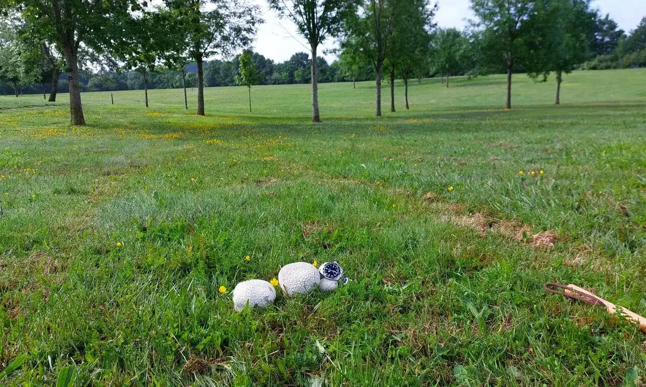 E20240521_102956.webp