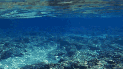 E2C7E052-BED0-4E7F-9848-9D9F094D1232.gif