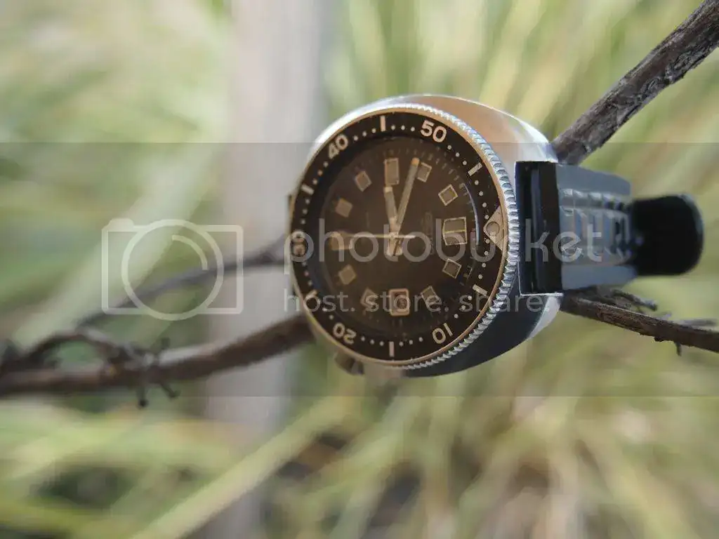 E3AAD204-6B52-4998-A22C-CAB65B80583F_zpsjev329p2.webp
