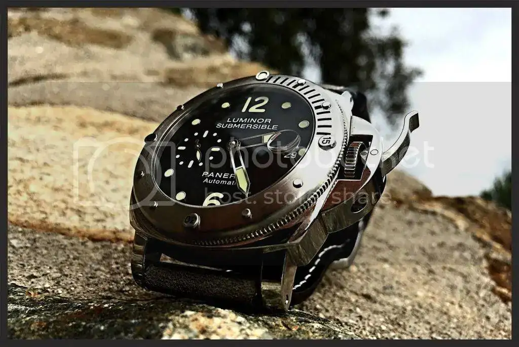 E3F5F113-1516-43C7-9782-E00E75BF974F_zpsu0ofkulg.webp