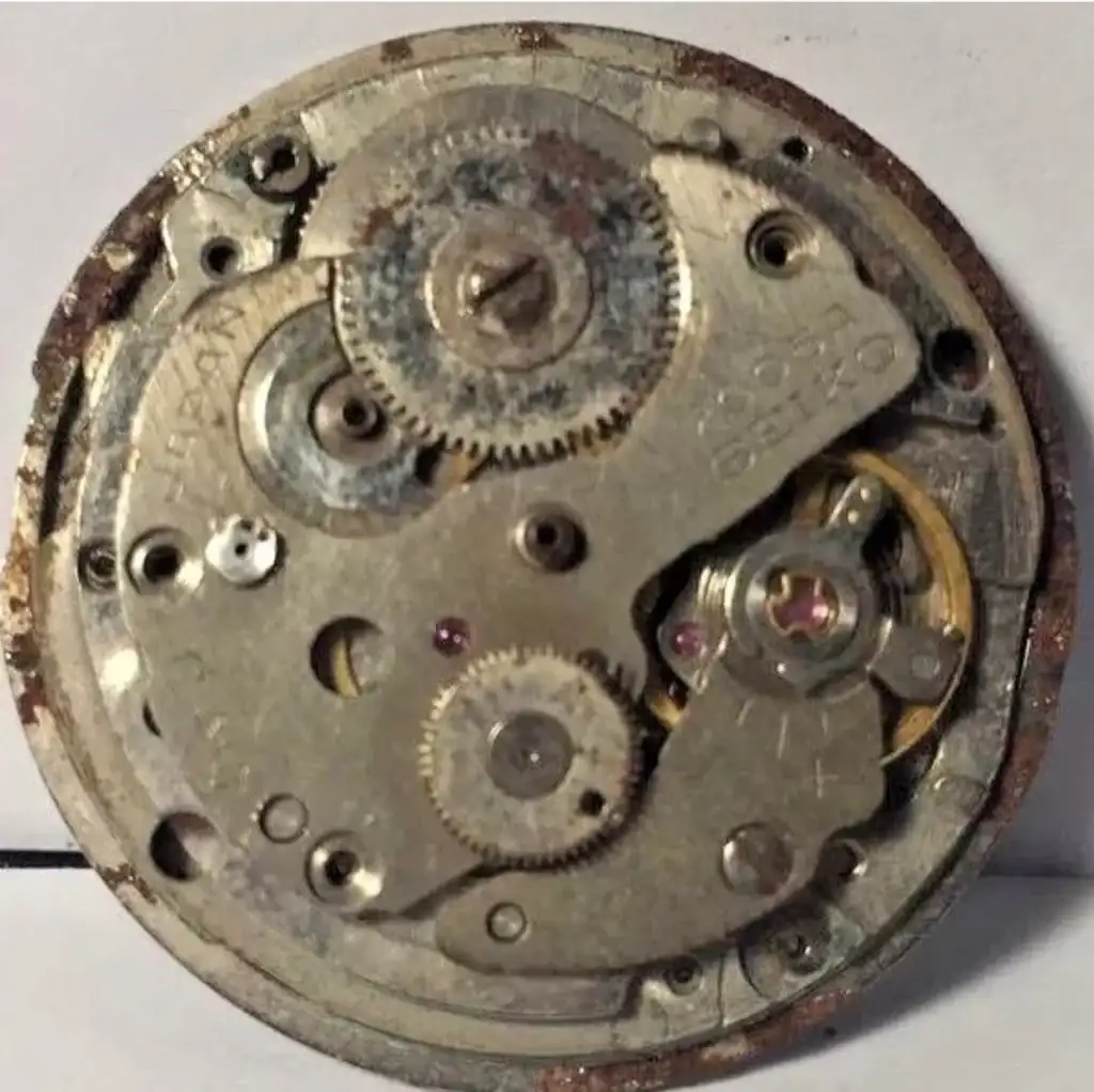 e46671dacd40113e458ca7ab606b439b.webp
