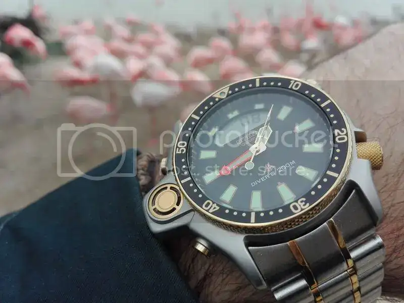 e47970d0-cc74-4c58-ae2c-28711bbfa777.webp