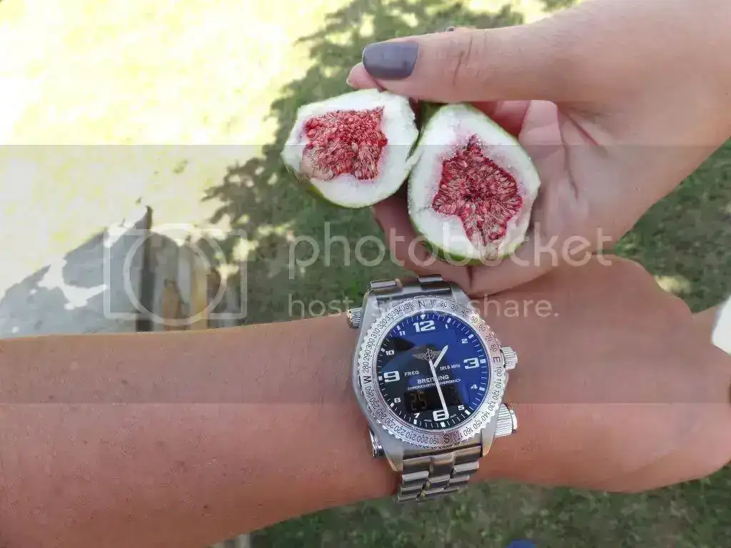 e57390964cdd247ccf7d40c4525f9efc.webp