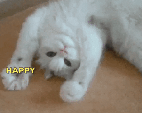e861c057e3225b5aa99efa306ef220be.gif