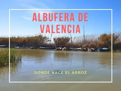 e9acdca7d75d3b36c24b950fa05928cb.webp