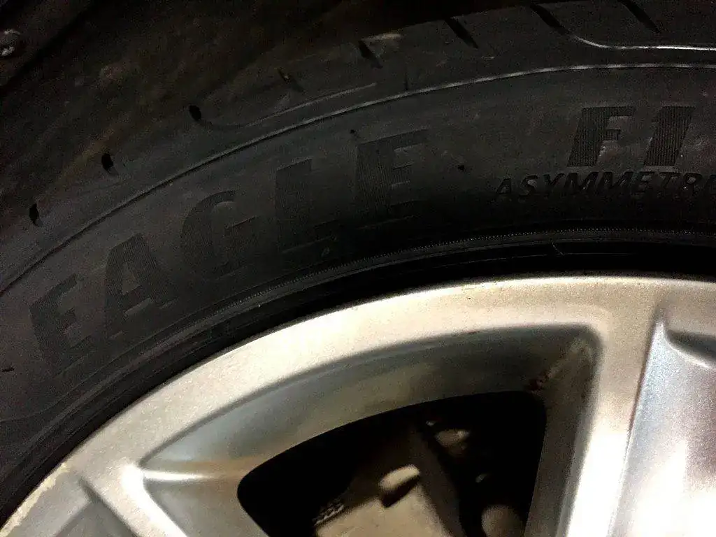 Eagle F1.webp