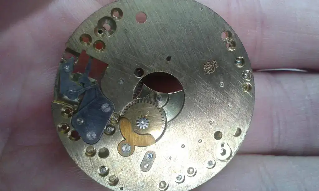 EB 623 ROSSKOPF (3).webp
