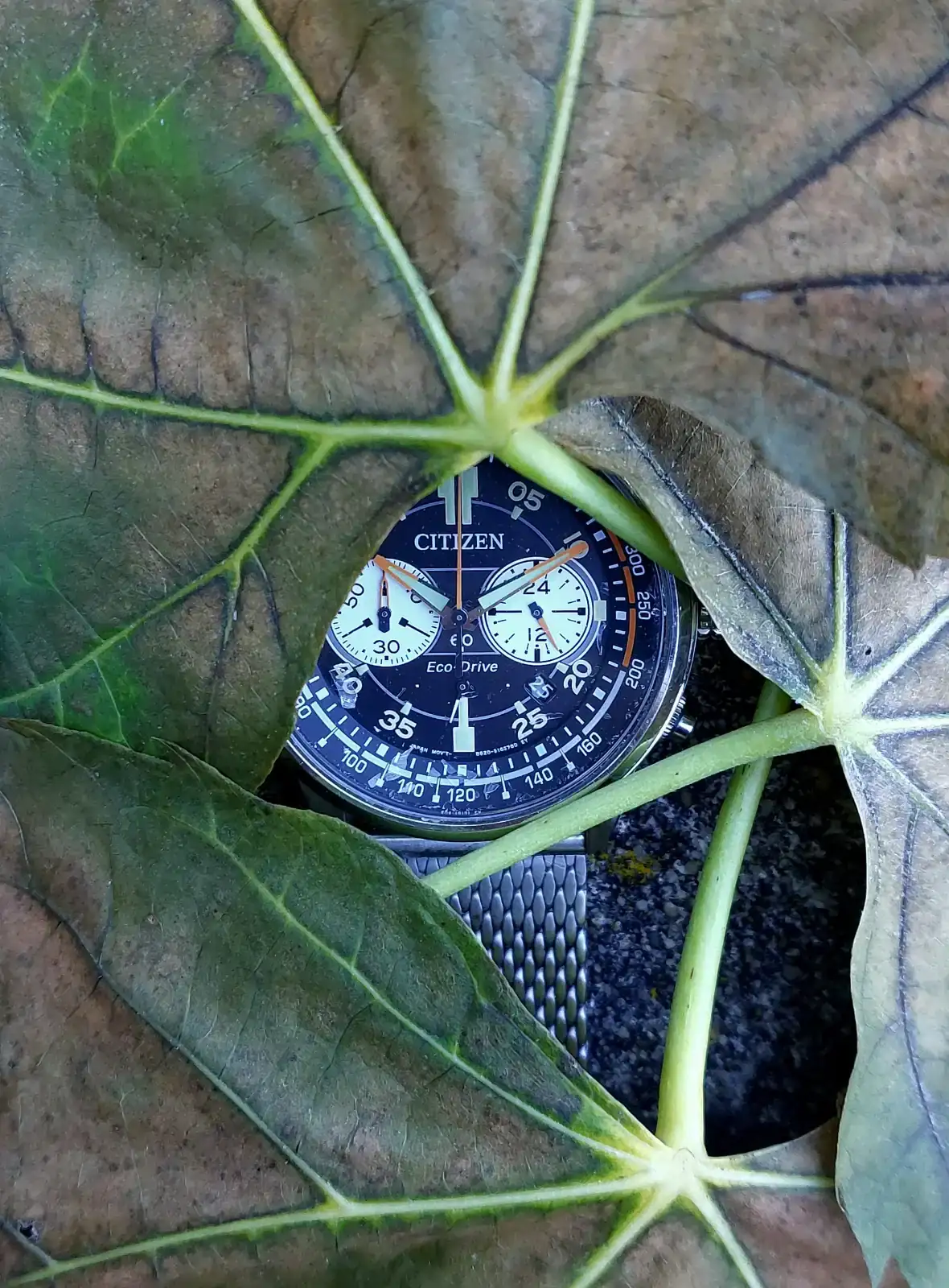 ECO20251007_110421 (2).webp