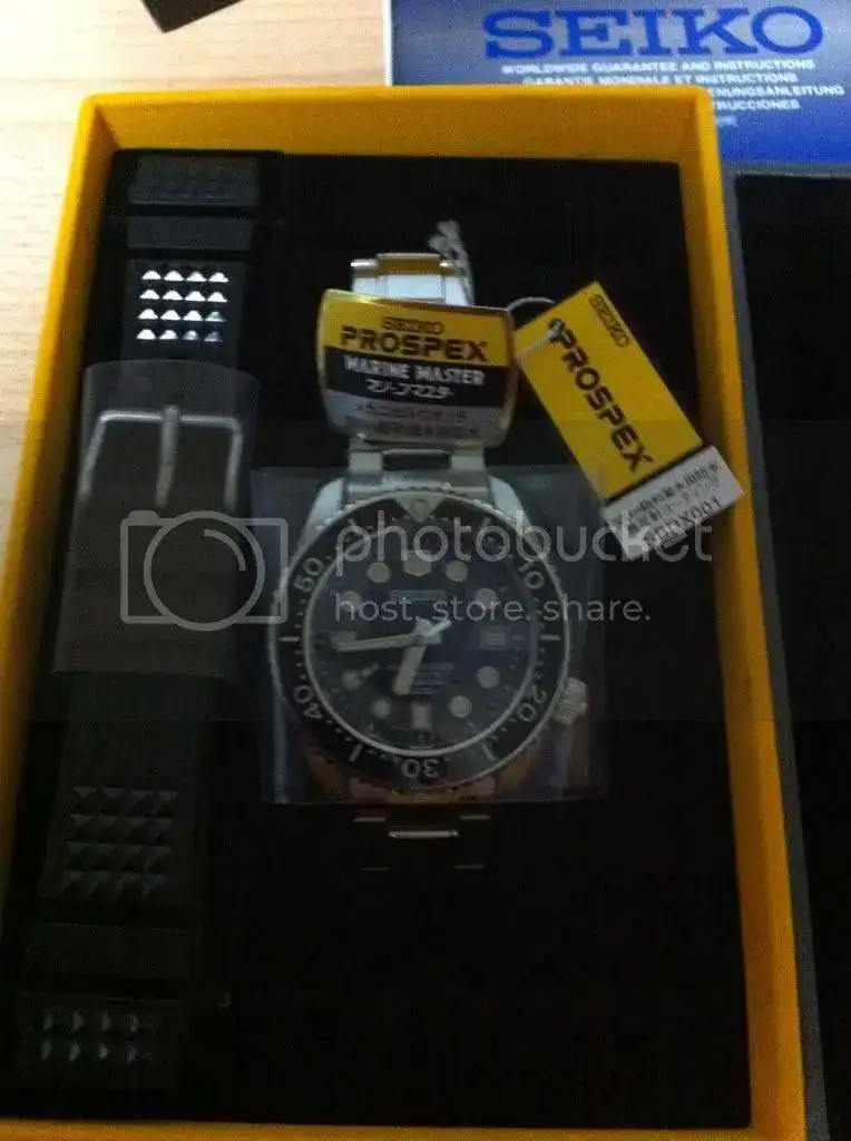 ed3842eb.webp