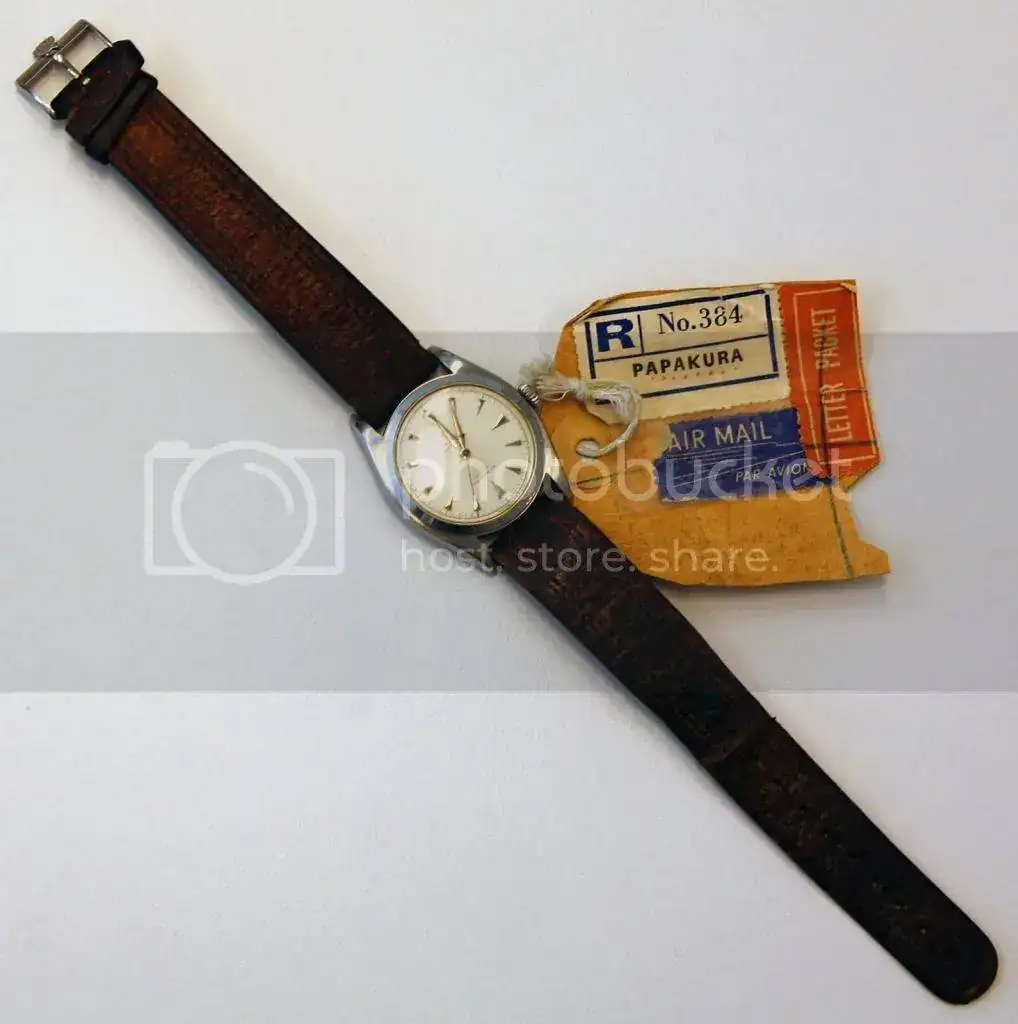 Edmund-Hillary-Everest-Rolex_zps20d84f68.webp