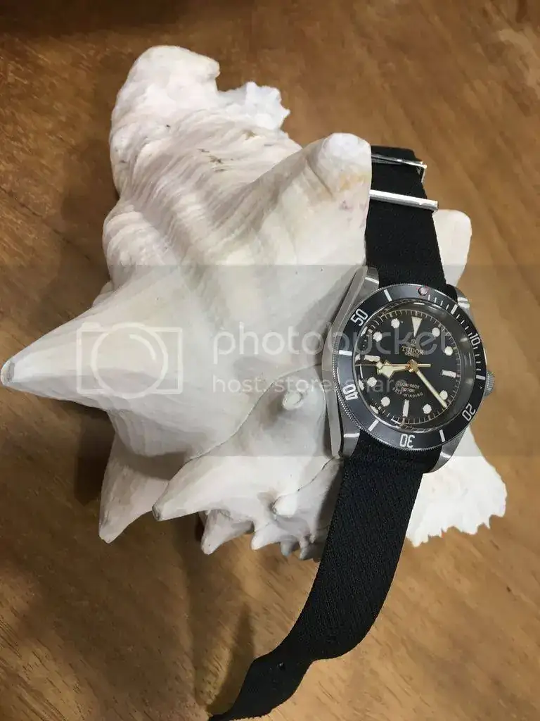 EFD887A2-C0AC-4997-8DFA-672D087F0295.webp