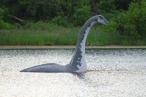 el-dinosaurio.webp