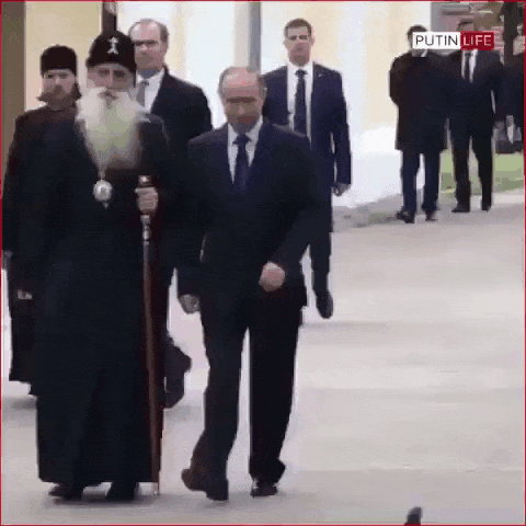 El increíble meme de la paloma saludando a Putin.gif
