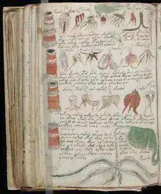 El-manuscrito-Voynich.webp