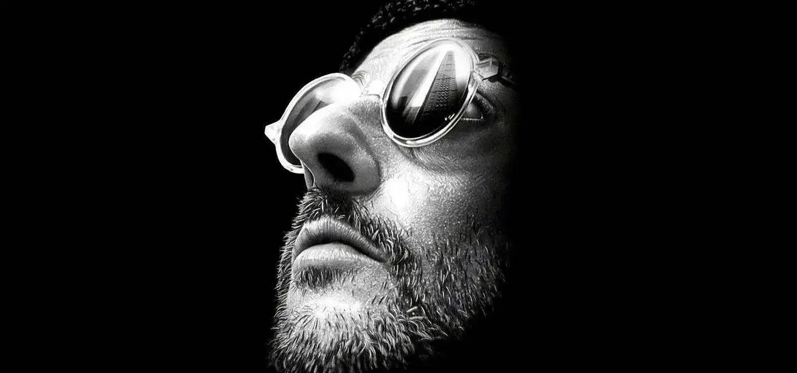 el-profesional-leon.webp