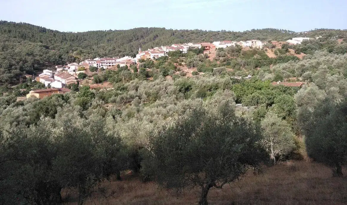 el pueblo.webp