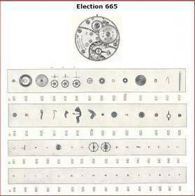 election 665.jpg