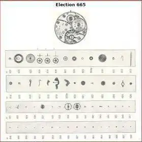 election 665.webp
