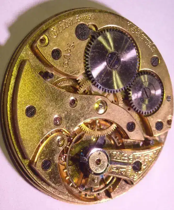 Elida cal.124 (2).webp