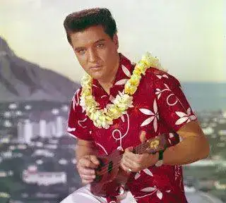 elvis-presley-camisa-hawaiana_sm.webp