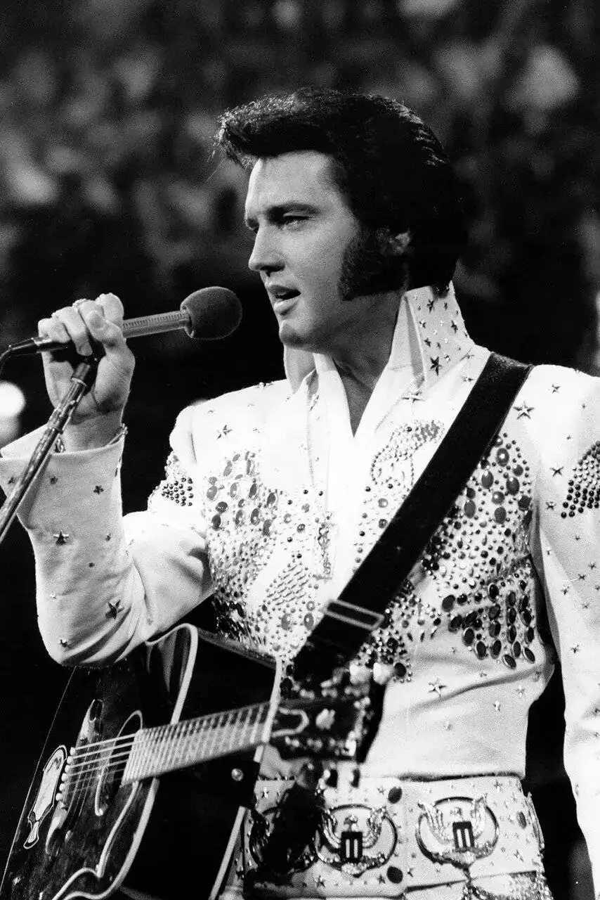 Elvis_presley_8365.webp