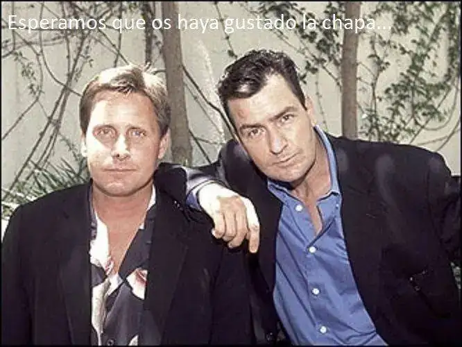 Emilio-and-Charlie-charlie-sheen-and-emilio-estevez-9399522-333-250.webp